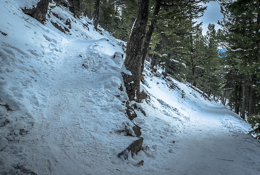 Tunnel Mountain: Banff's Must Do Hike