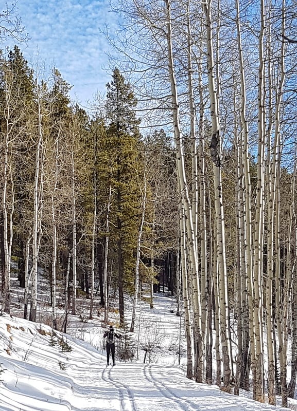 Love the skiing through stands of aspen