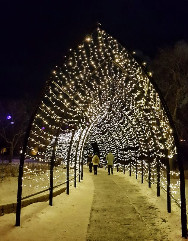 The Forks in Winnipeg lighted pathway to the Ice Castle