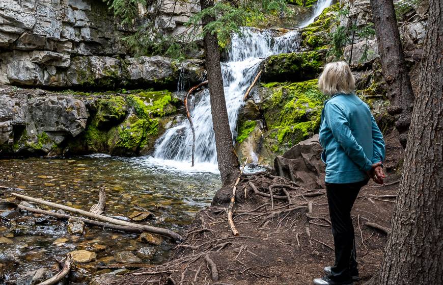 My 90 year old neighbour made the hike up to Upper Troll Falls with no difficulty