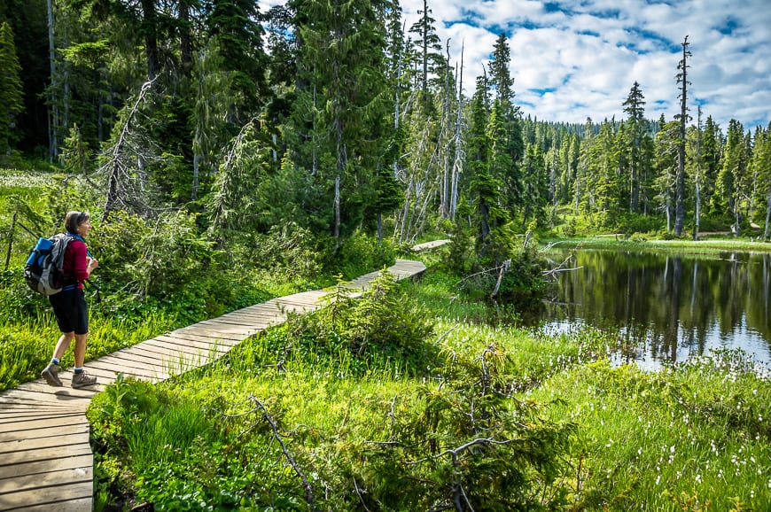 Beautiful lake and forest scenery on the Kwai Lake Loop