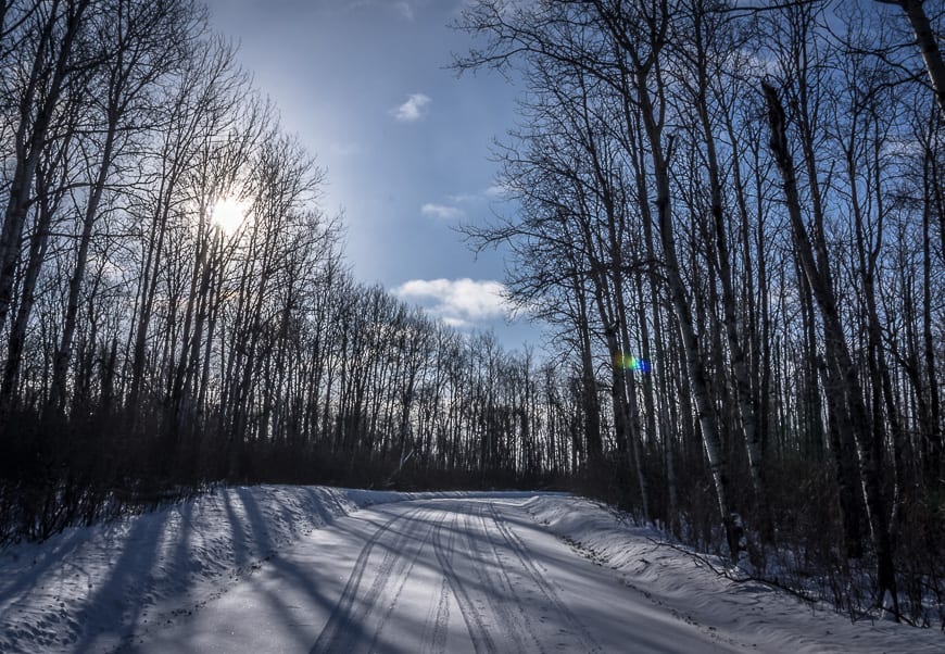 Cold, lonely roads on the winter drive to look for bison in Riding Mountain National Park