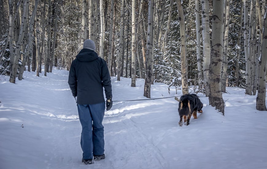  The trail is dog-friendly but keep your dog on a leash