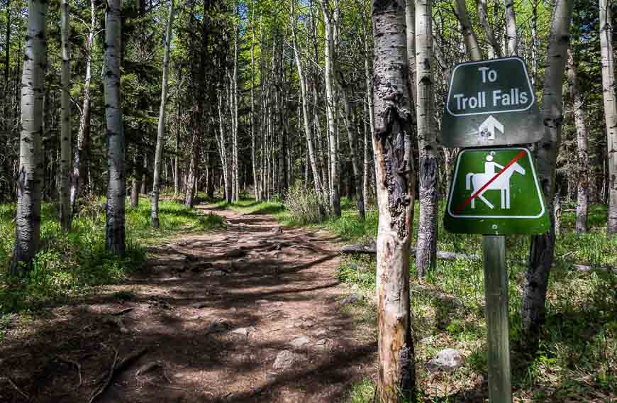 The hike to Troll Falls in late spring is a study in green