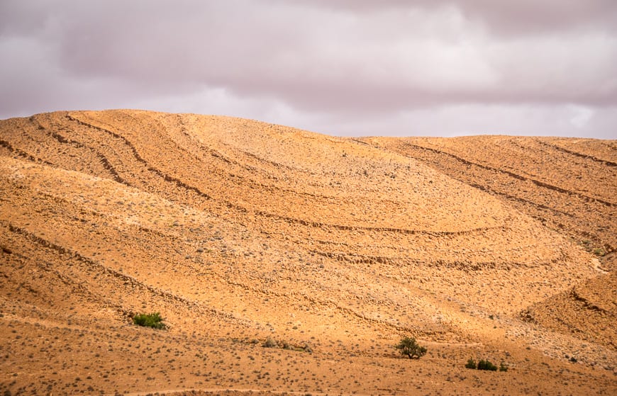 Unusual patterns on the hills; the small bushes are all cacti