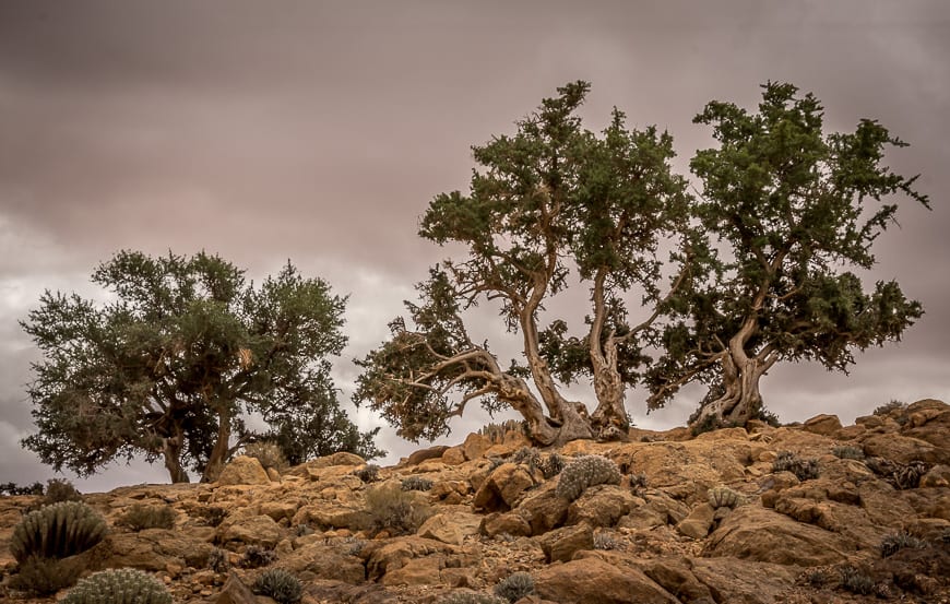 A 2 Day Hike in the Anti-Atlas Mountains of Southern Morocco