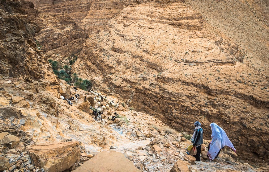  Watching the two ladies descend with their goats back to the village