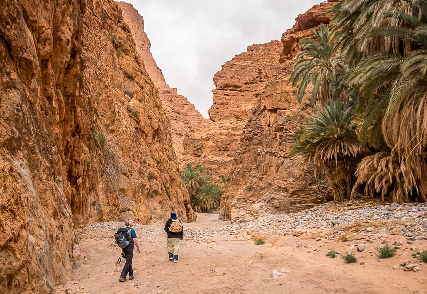  The Anti Atlas hike started off in a palm lined canyon in Igmir