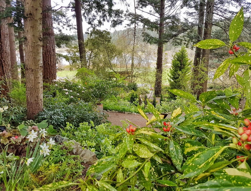 Cycling Victoria: The Harbour to Farm Tour