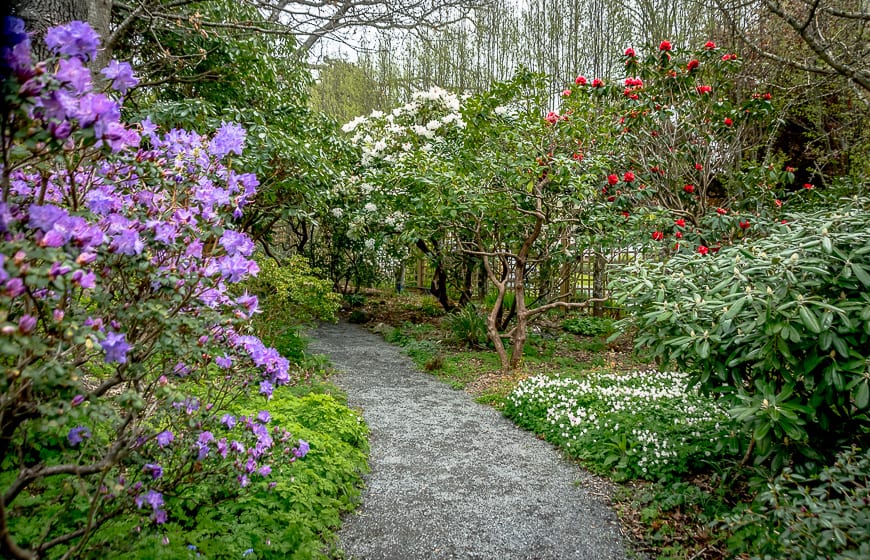  I always love a garden path where you can't see around the corner