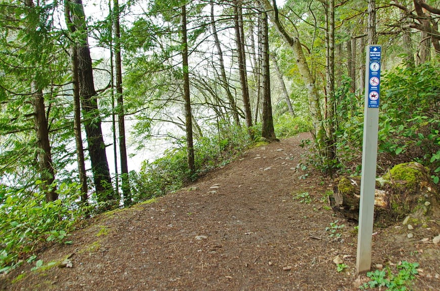  Hiking on the Matheson Lake trail on a weekday with no one in sight