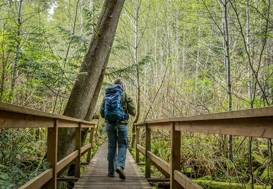 Well maintained boardwalks keep your feet dry