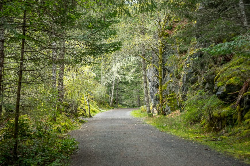 An easy, beautiful section of of the Galloping Goose trail near Sooke