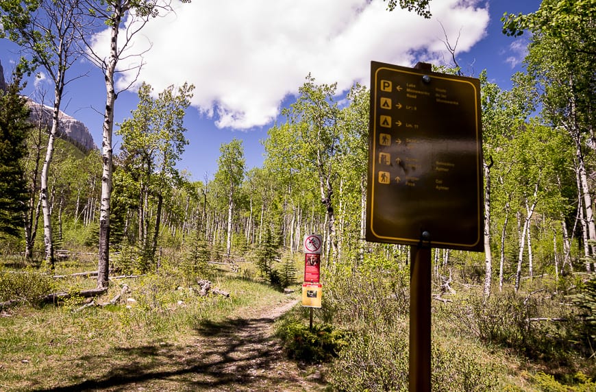  Good signage for the turnoff to Aylmer Lookout and Pass 