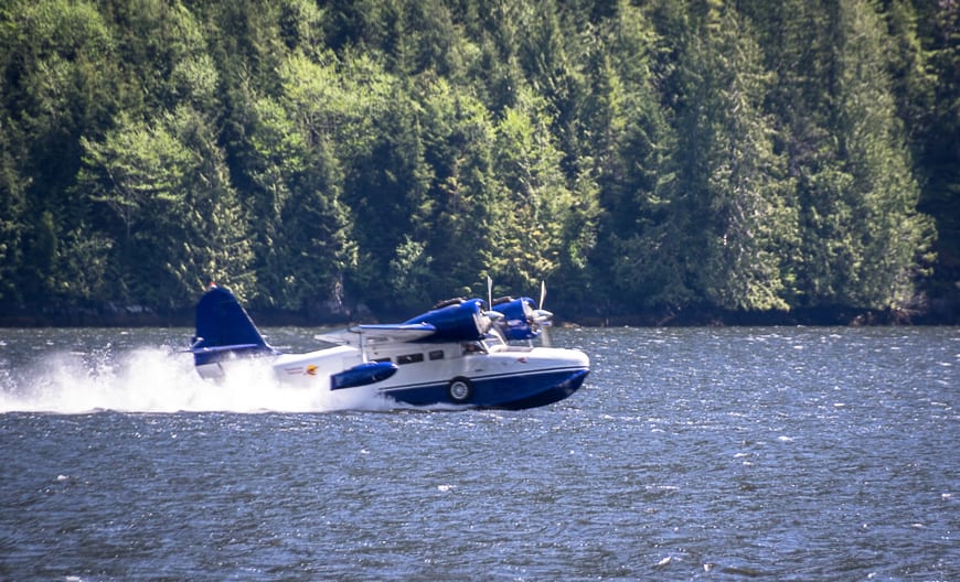 The Grumann Goose amphibious plane coming in for a landing