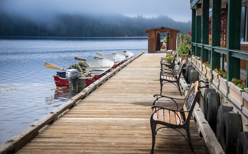  Decorative flowers and swallows boxes line the dock