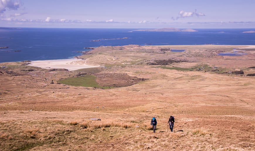 Climbing Mweelrea via tussocky terrain