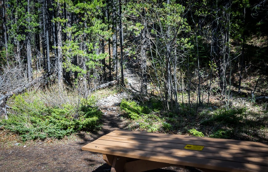 See the trail heading UP behind the picnic table