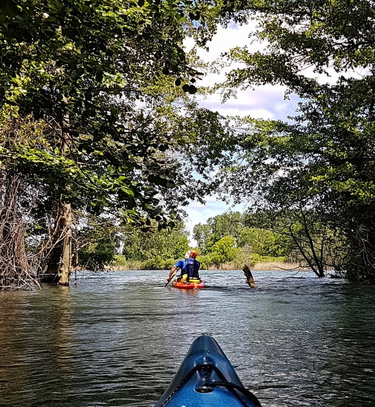 Paddling the marsh of Peche Island - one of the top things to do in southwest Ontario