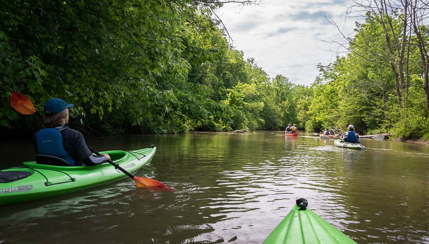 Paddling the gentle waters of Big Creek