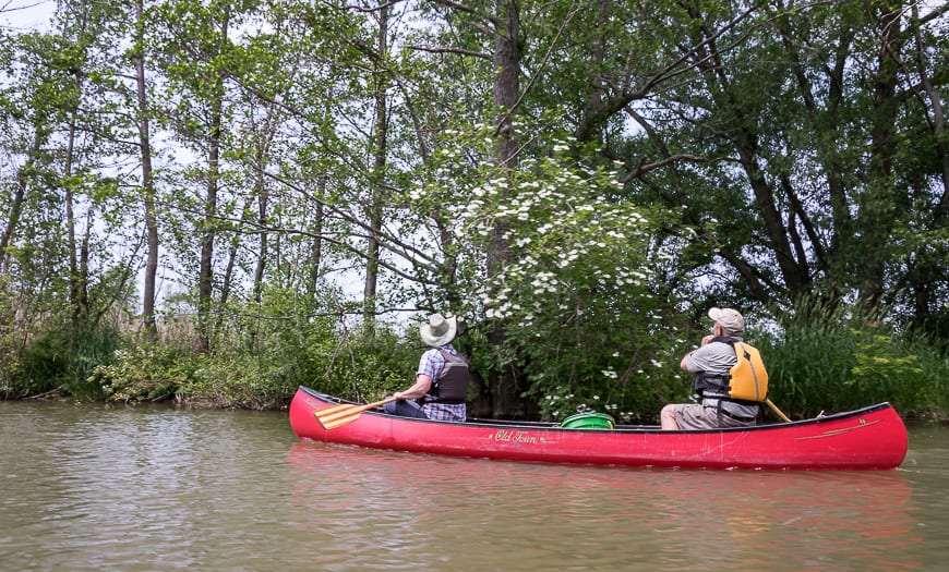 Looking for birds on a paddle through Canada's Amazon