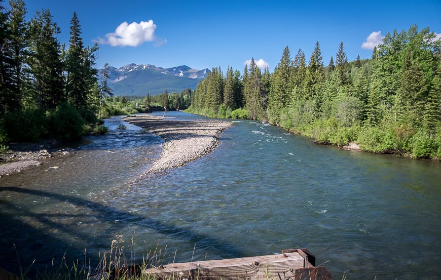 The view from Castle River Bridge