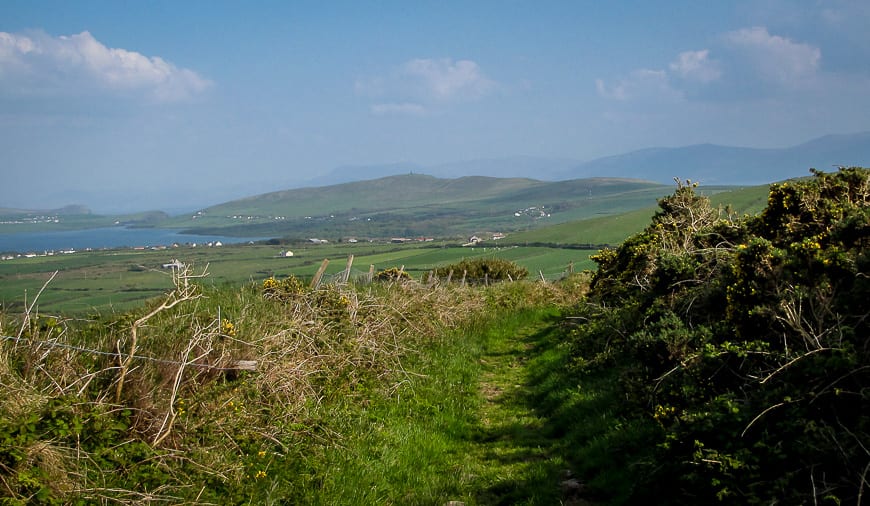 Watch out for the prickly gorse bush which seems to be everywhere I went in Ireland