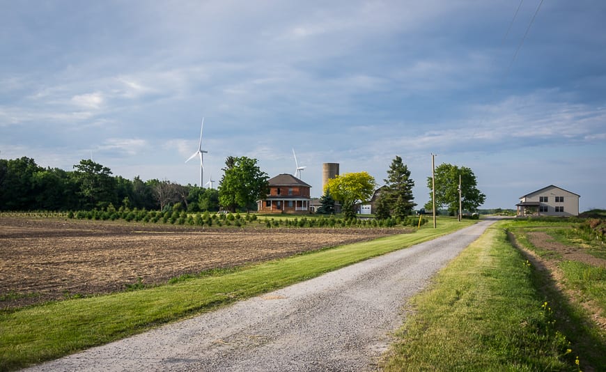  Beautiful pastoral scenery on the road out to the Port Maitland pier