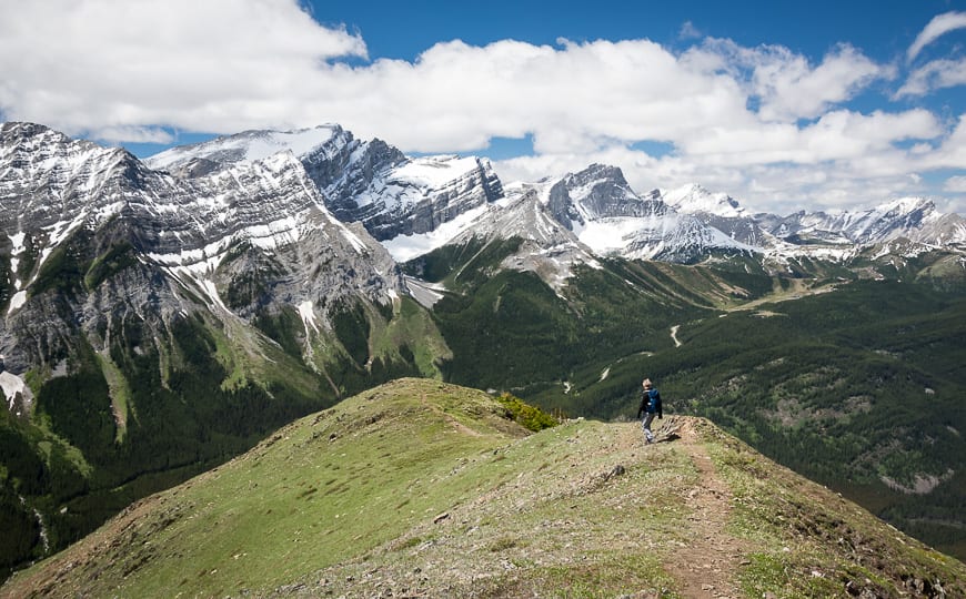 Heading for the scree zone