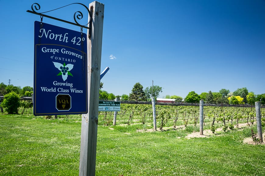 Wineries are popping up all over southwestern Ontario