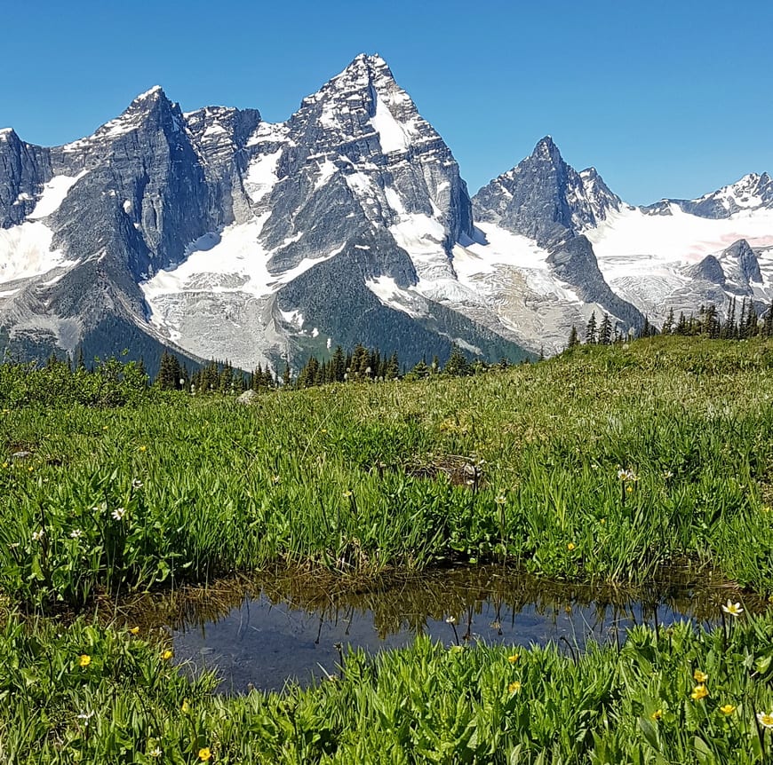 Mountain views of the Purcells