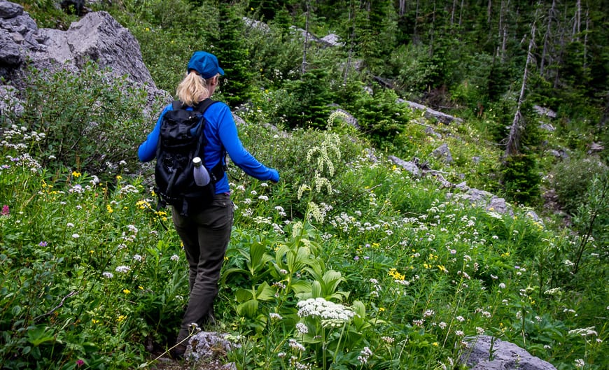 The Hike to Black Prince Cirque