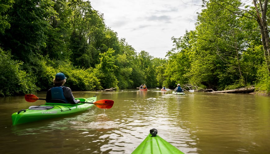 The Big Creek kayaking tour is a highlight of the area