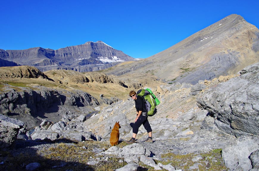 The backpacking trip to Nigel Pass and beyond is a reasonable one