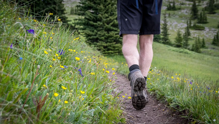 Walking through wildflowers