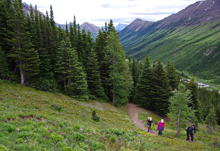 The steepest part of the hike is at the start