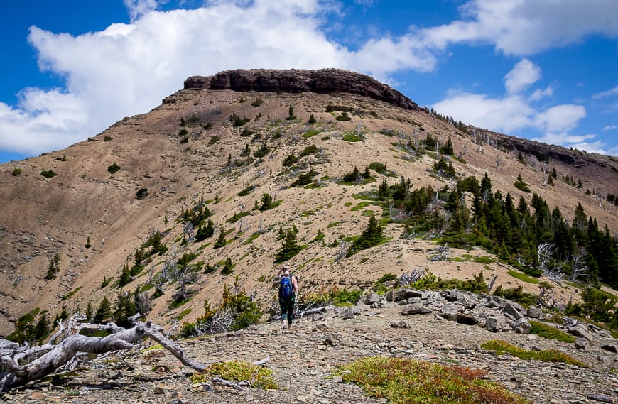 The final stretch to the top is very steep - and hot if it's a warm day