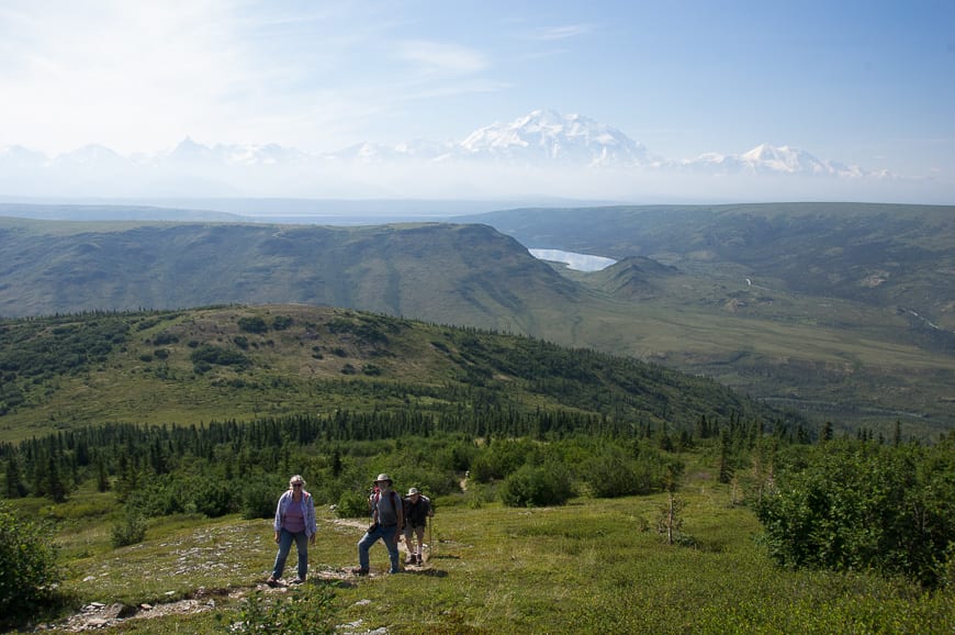 Views of Denali on a hike