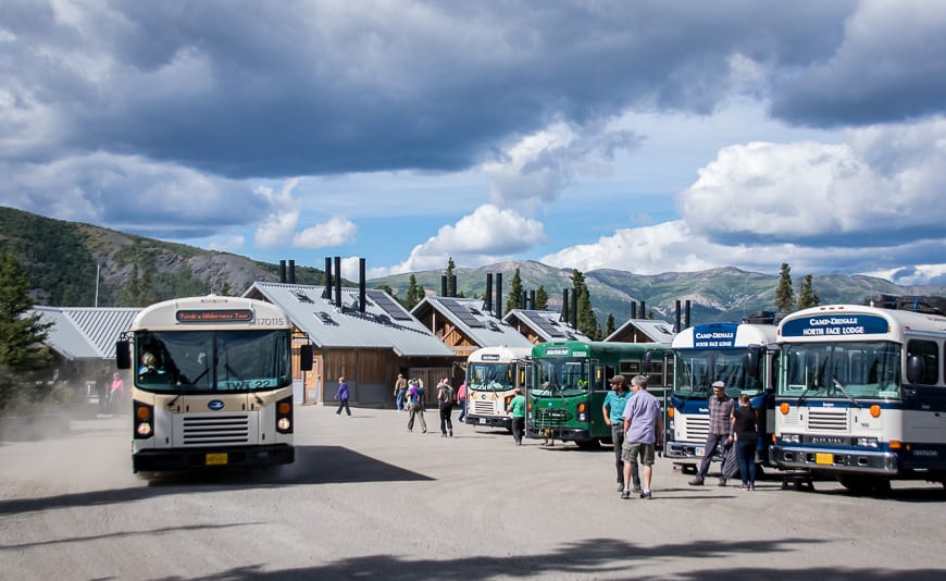 A major bus stop at Mile 29 at the Teklanika River