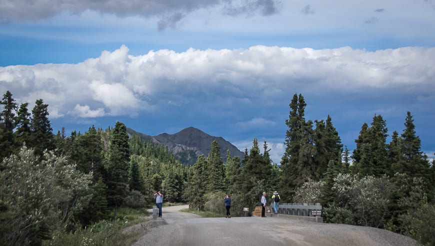 On the Denali park Road hanging out near Igloo Creek while our picnic dinner is being prepared 