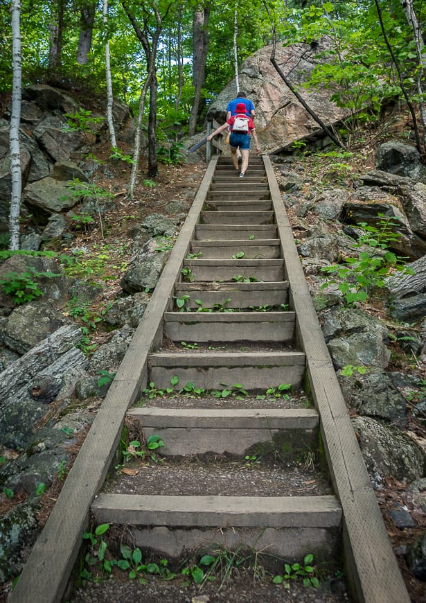 The Secret of Pink Lake in Gatineau Park, Quebec