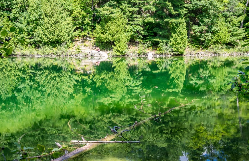 You really notice the green colour at the far end of Pink Lake