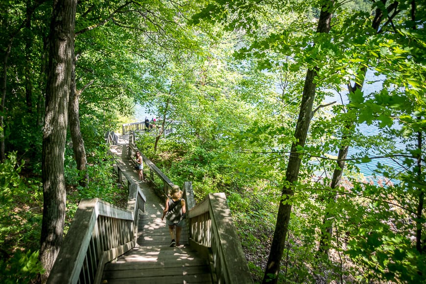 The Secret of Pink Lake in Gatineau Park, Quebec