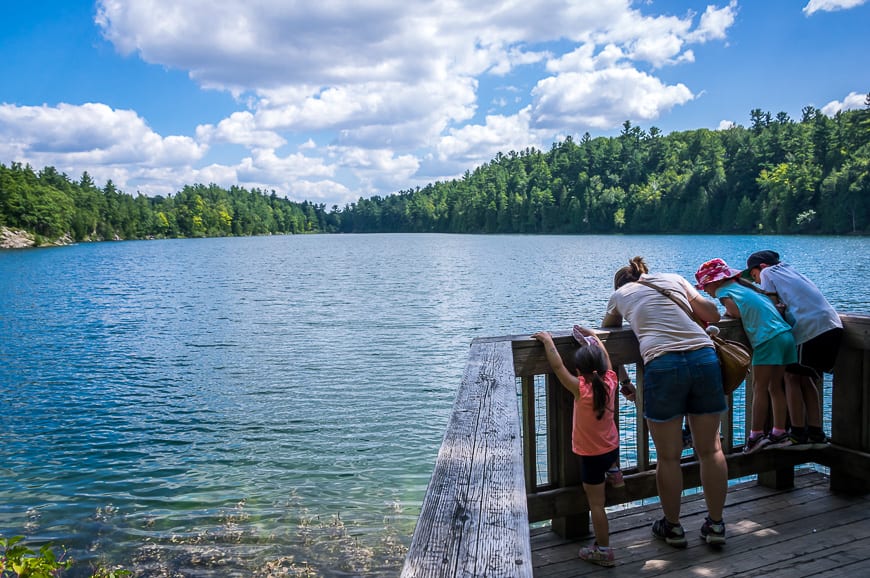 The Secret of Pink Lake in Gatineau Park, Quebec