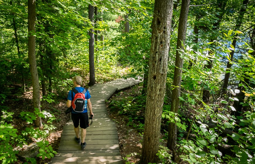 Really beautiful walking in the woods around the lake