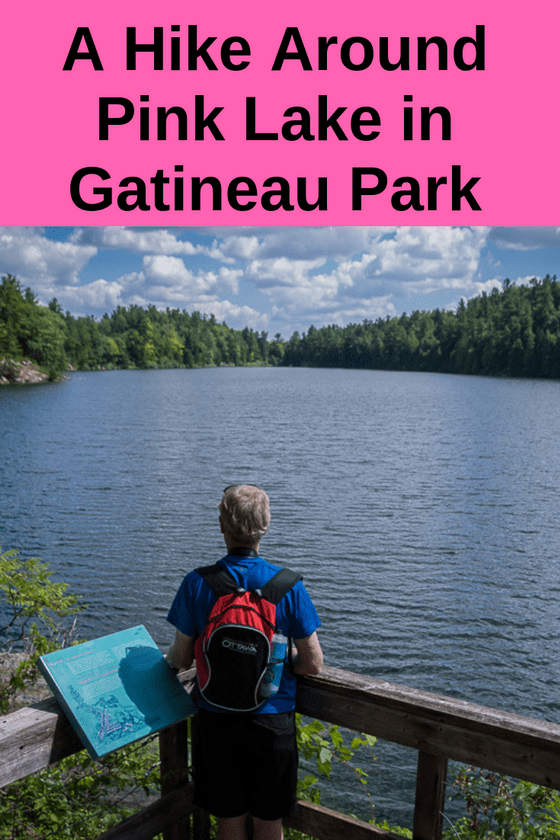 The Secret of Pink Lake in Gatineau Park, Quebec