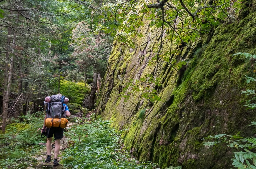 On many occasions along the trail we came across large mossy outcroppings