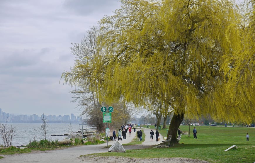 Continue biking past Kitsilano towards UBC and you'll reach some wonderful beaches