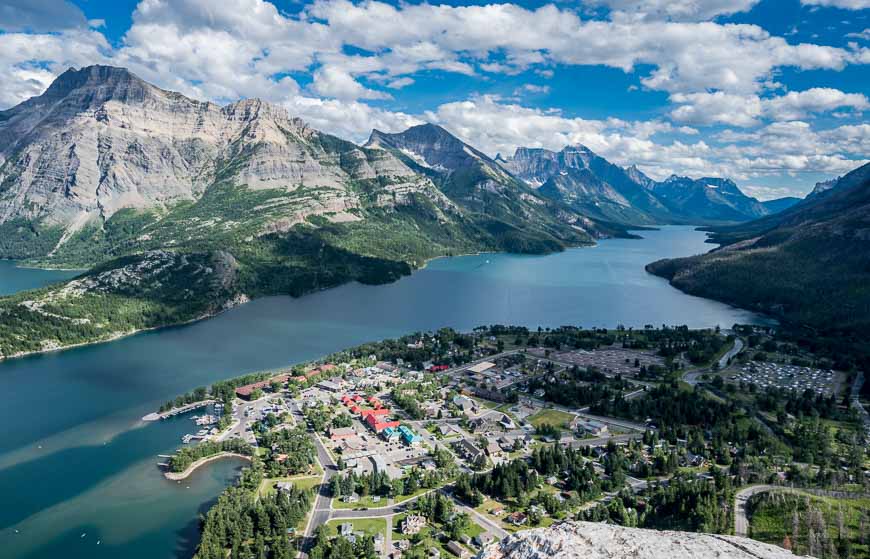 are dogs allowed in waterton national park