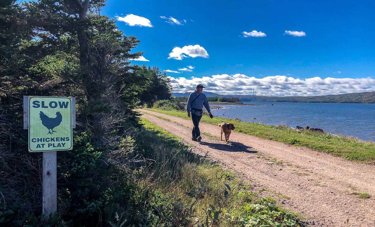 The Celtic Shores Coastal trail is a gorgeous multi-use trail and certainly one of the best bike rides in Canada